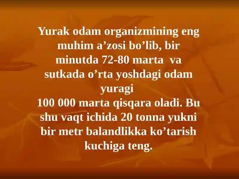 YURAK ANATOMIYASI 3