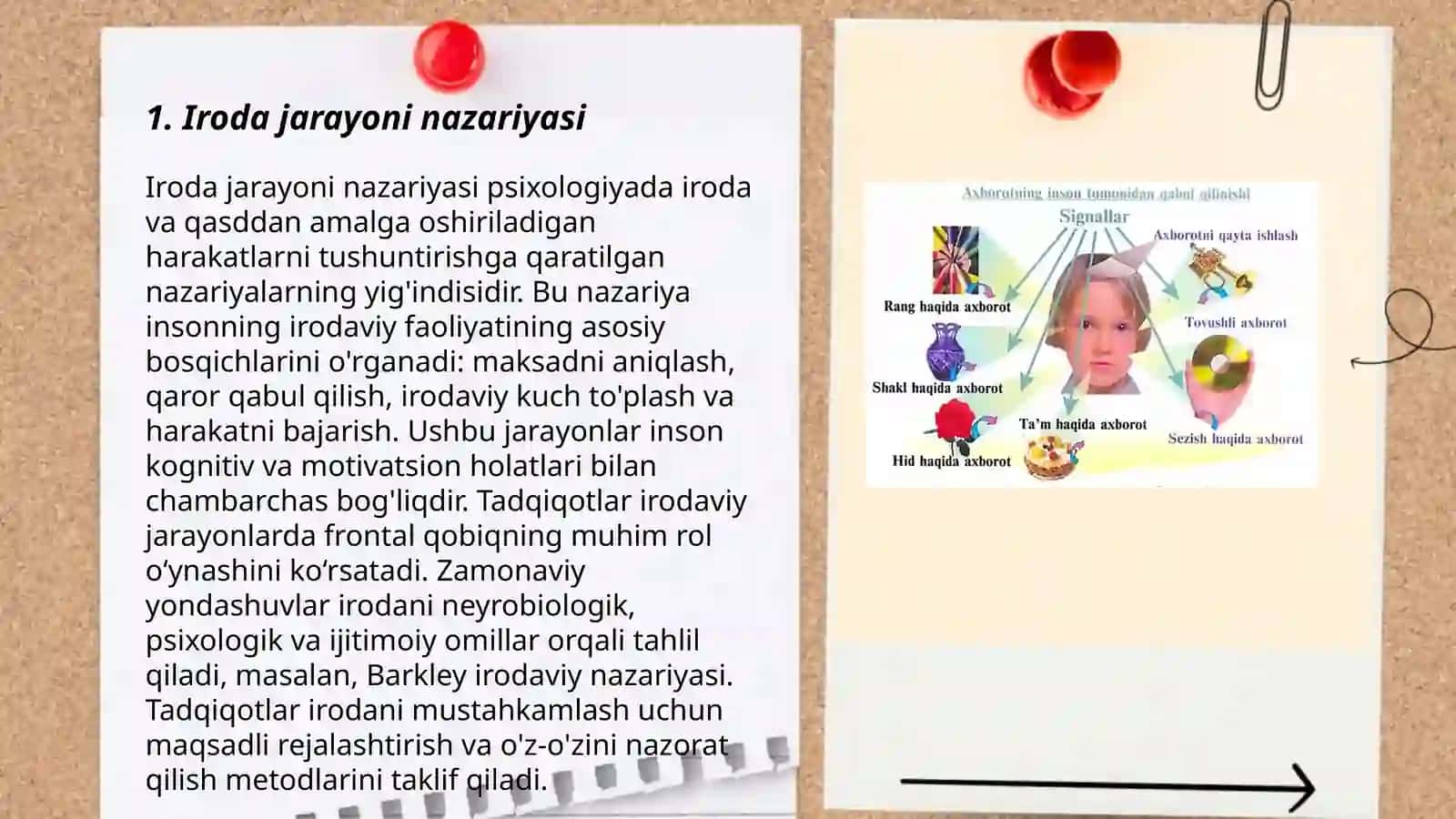 Iroda jarayoni haqida tushuncha va uning kasalliklarda buzilishi 3