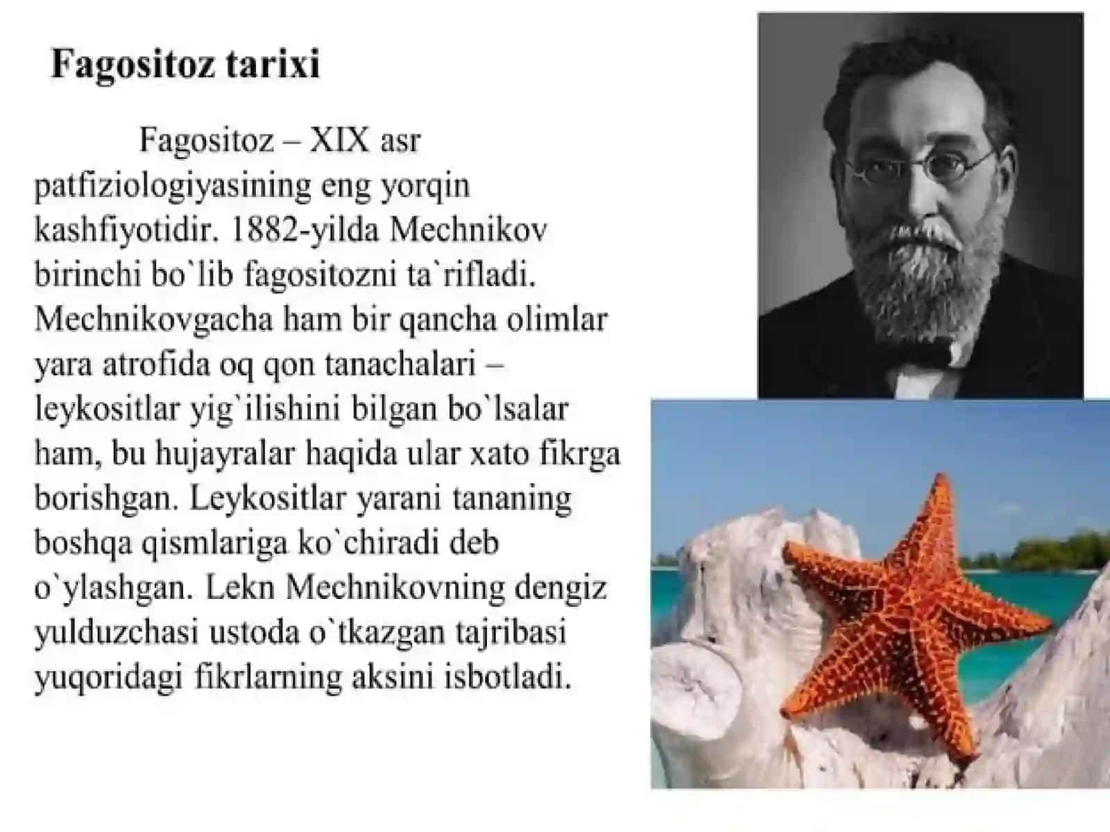 Fagotsitoz jarayoni va uning bosqichlari. Yalligʻlanish 3