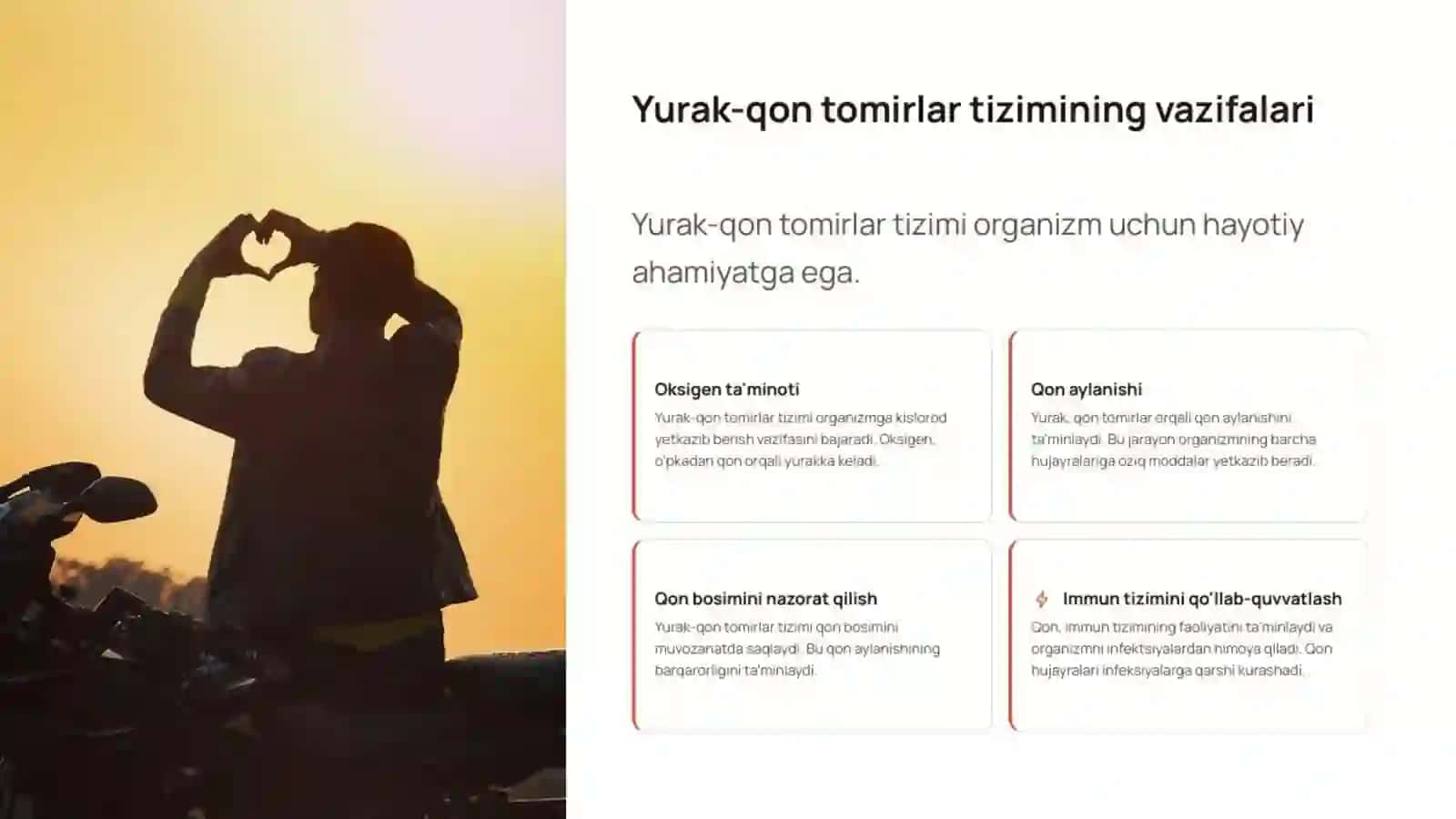 Yurak-qon tomirlar tizimi 3