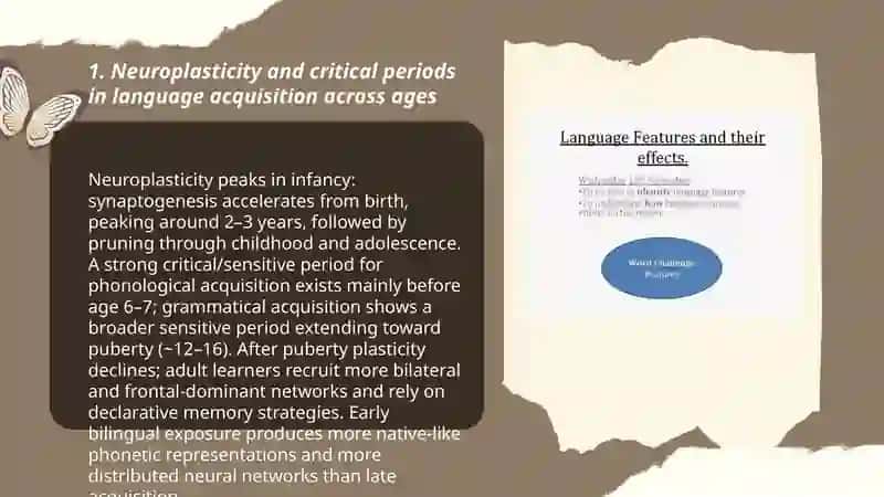 Psychophysiological features of language learners and language learning or different ages 3