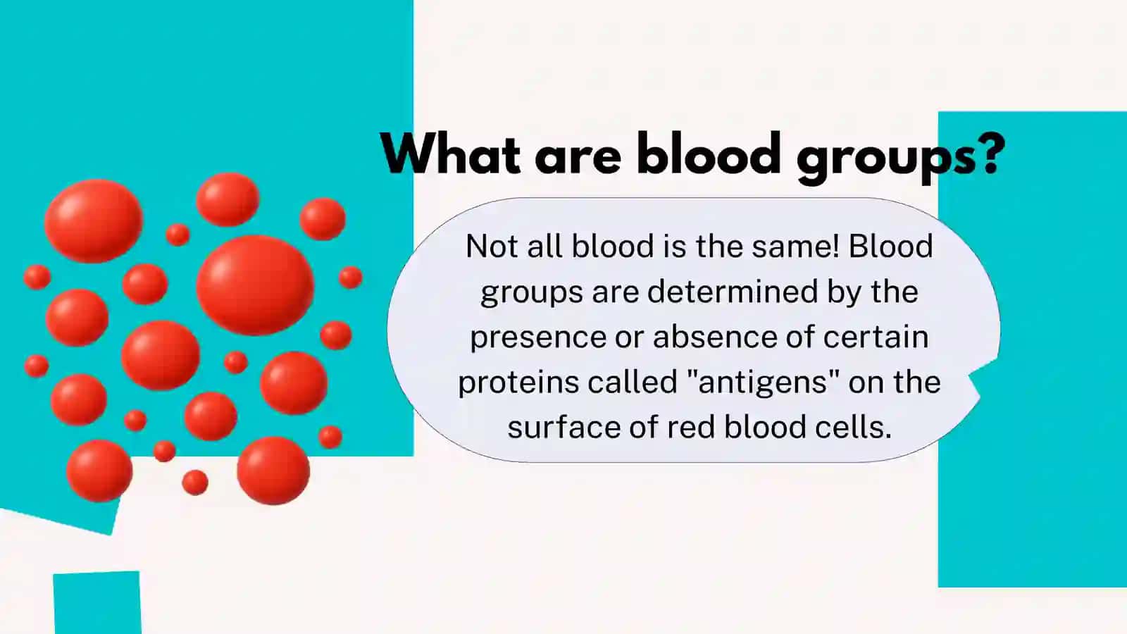 blood groups 3
