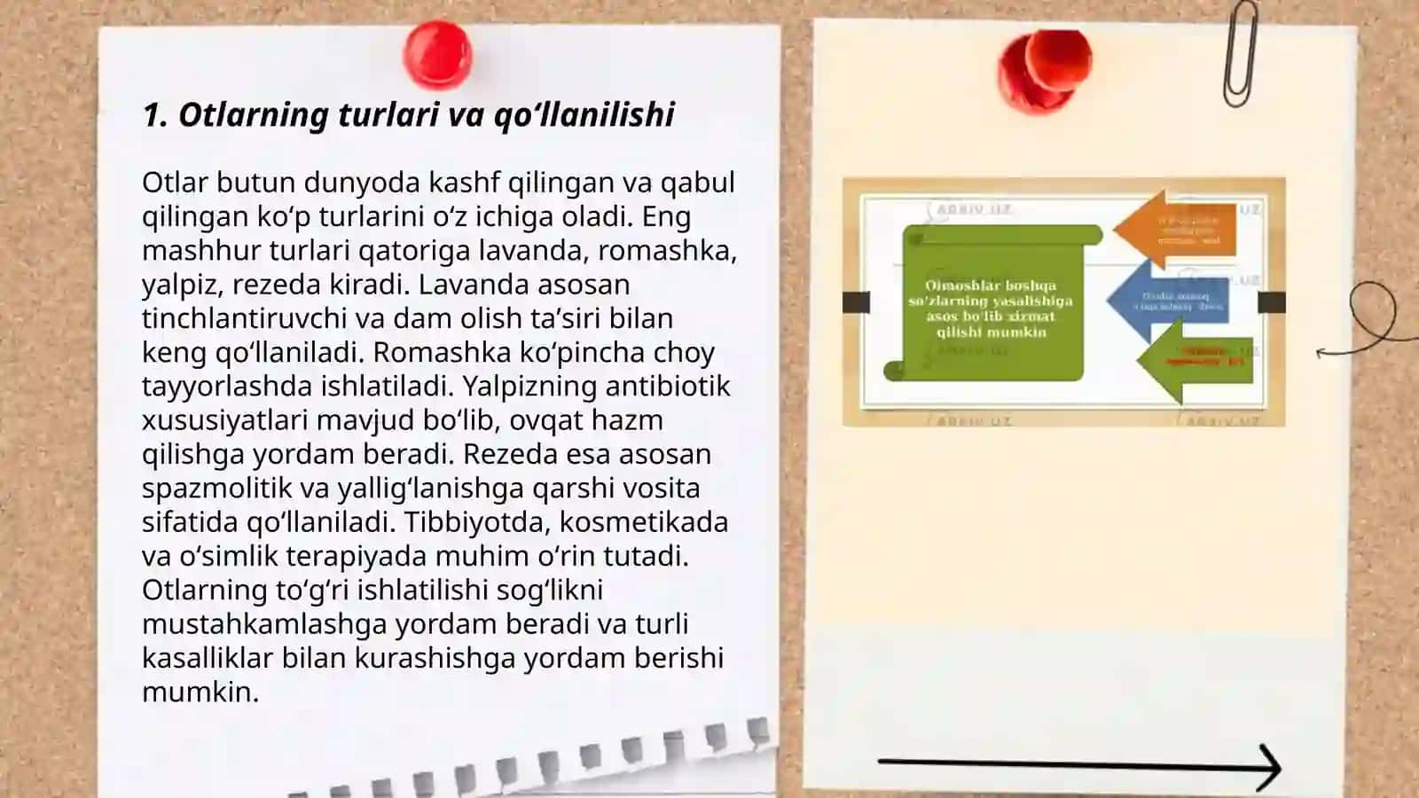 Tilni grammatik qonuniyatlarini oʻzlashtirish 3