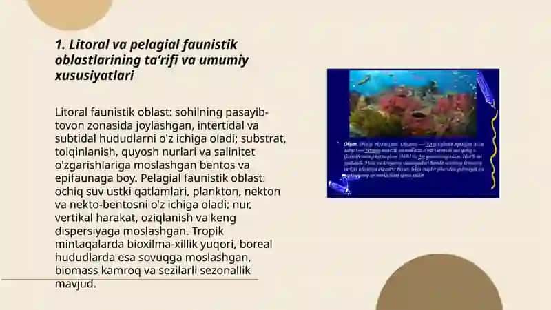 Tropik va Boreal Zoologiya 3