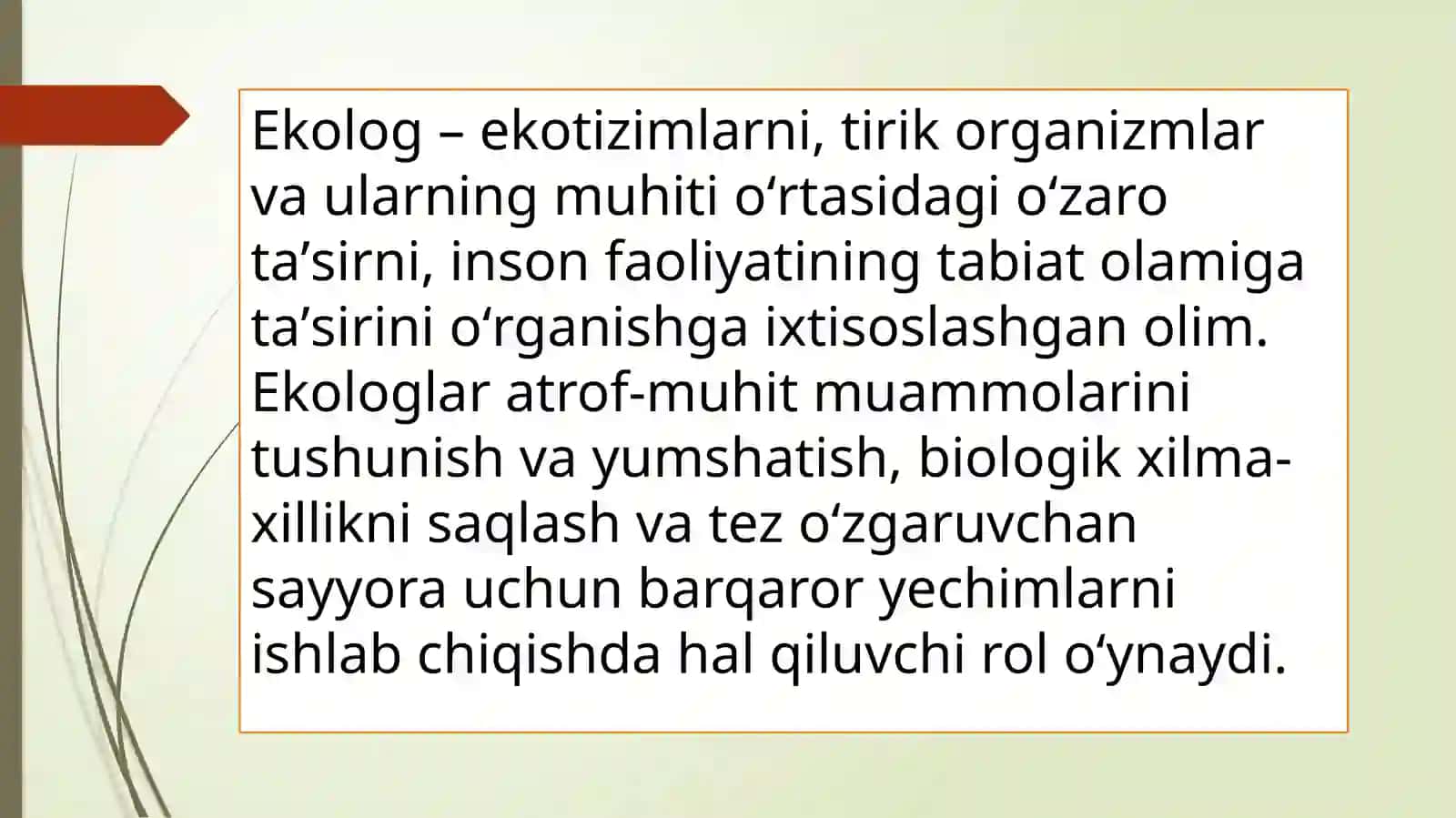 Shuxratning Falsafafanidantayorlagan taqdimoti 3