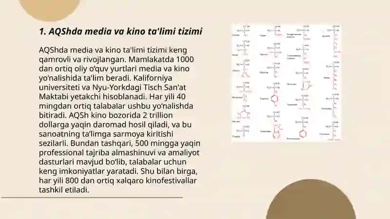 AQShda media va kino ta'limi tizimi 3