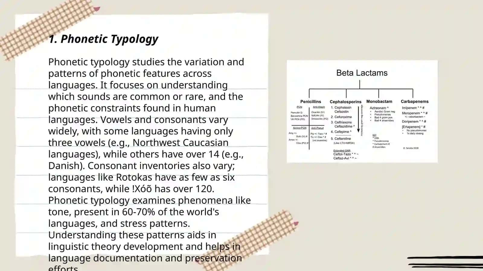 Classification of comparative typology according to Dr. Jamoliddin Buranov, Bozorova Aziza 3