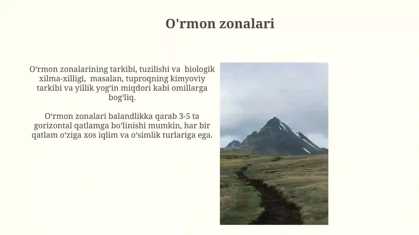 Oʻrmon zonalari 3