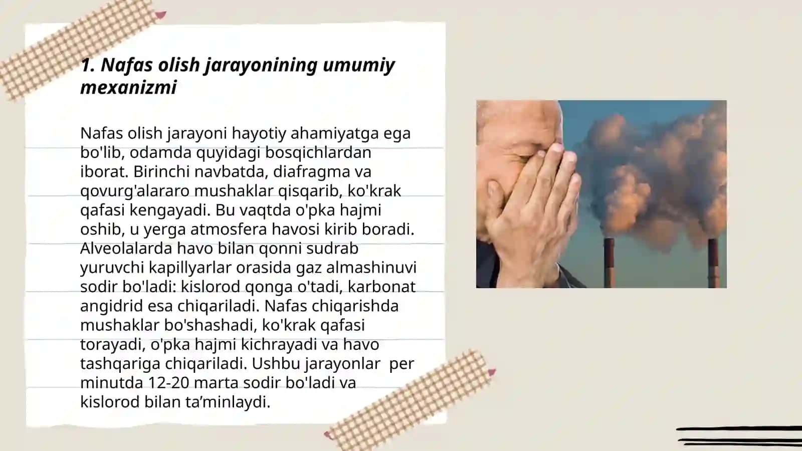 Nafas olish tizimining fiziologiyasi 3