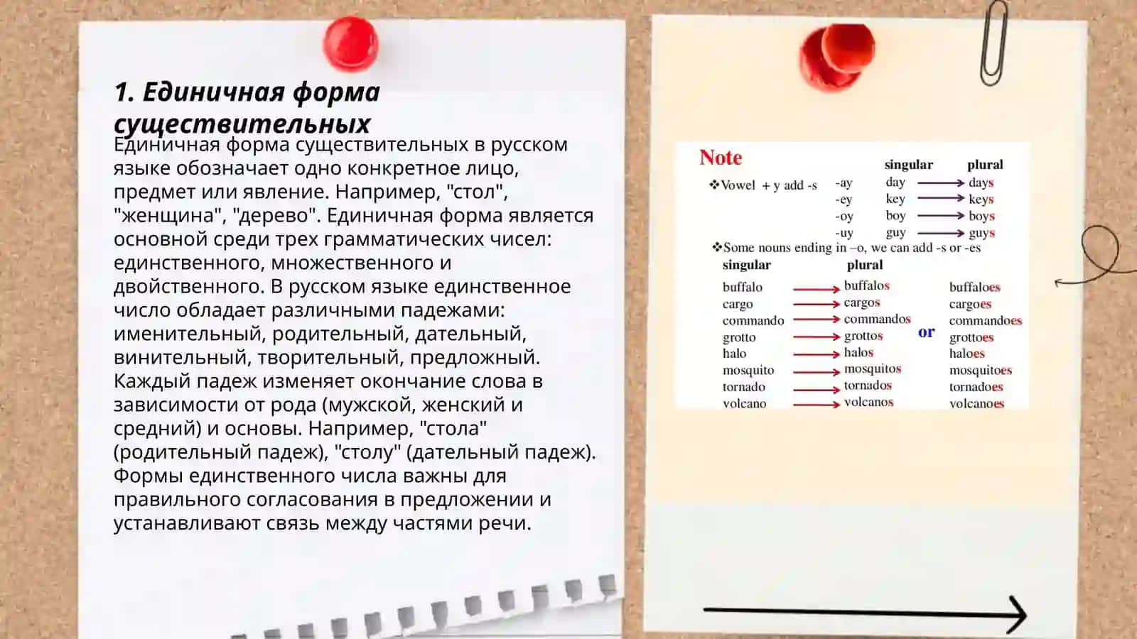 Единичная форма существительных 3