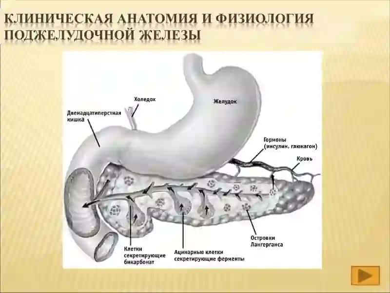 Хронического панкреатит 3