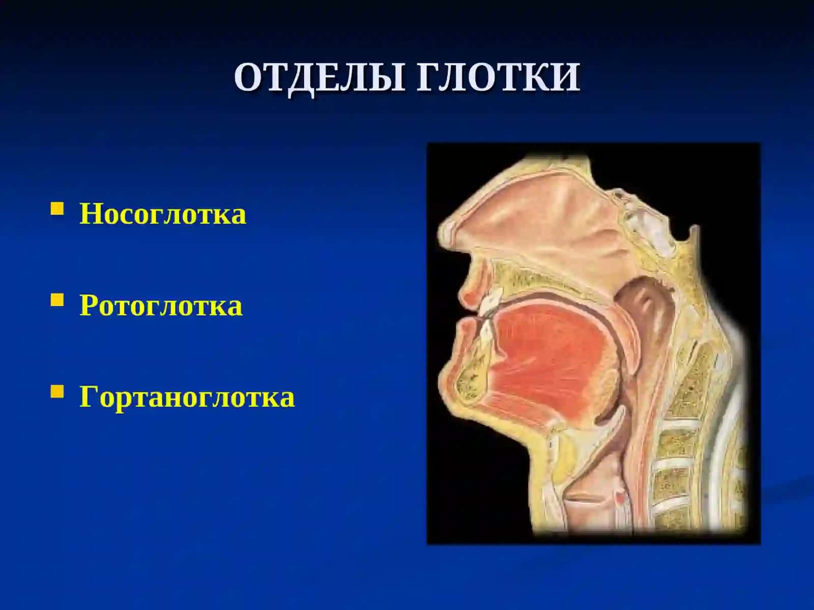 Заболевания глотки 3