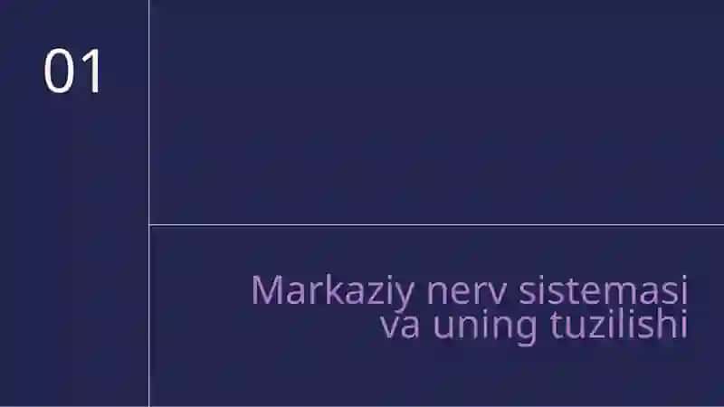 Atlas vatarqatmamateriallaryordamidamarkaziynervsistemasiorqamiyaningtuzilishivareflektorfunksiyasinio’rganish 3