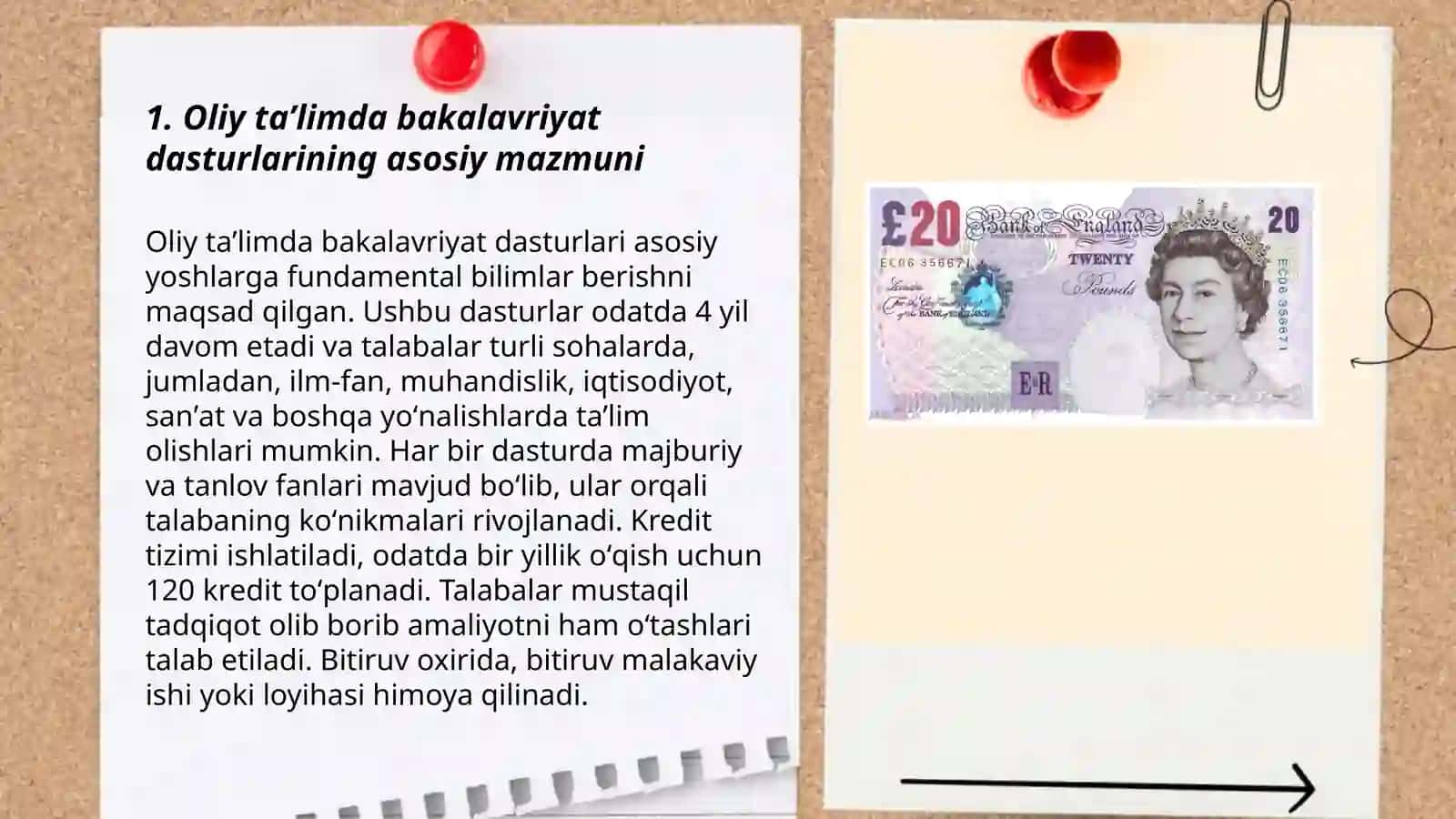 Oliy taʼlim sohasida bakalavriyatlarining mazmuni va tayyorlagarlik darajasiga qoʻyiladigan talablar 3
