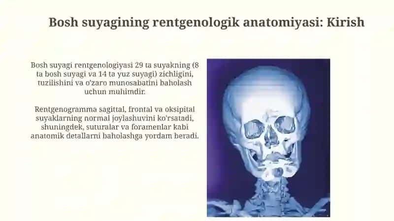 Kallasuyaklarining rentgenatomiyasi.Kallasuyagining yoshi va jinsiy tafovutlari 3