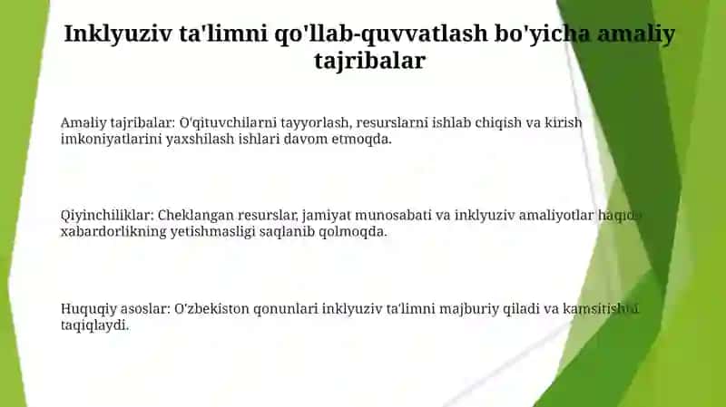 O'zbekistonda Inklyuziv Ta'limning Muammolari va Imkoniyatlari 3