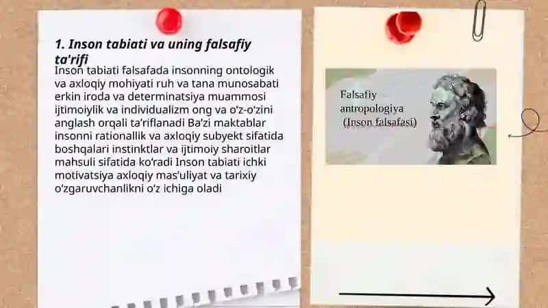Inson falsafasi.Qadryatlar falsafasi 3