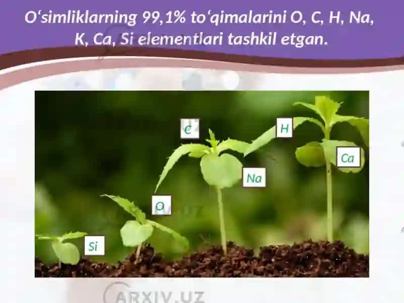 Mikrobiogen elementlar 3