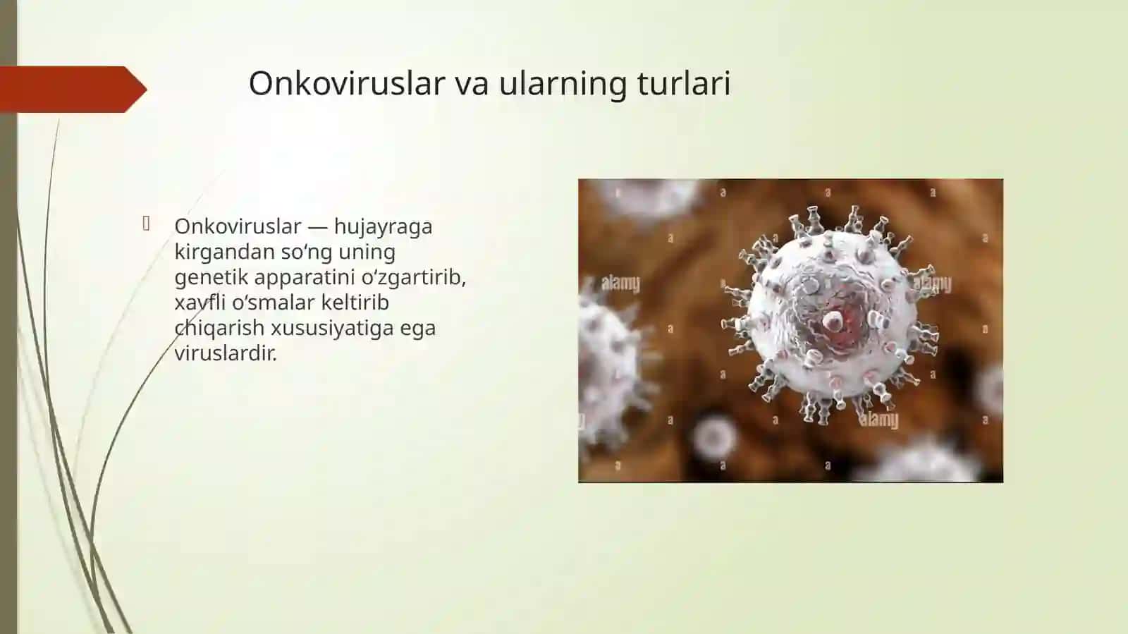 TOSHKENT DAVLAT TIBBIYOT UNIVERSITETI Normal va Patologik fiziologiya kafedrasi 3