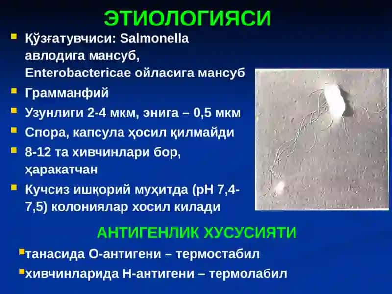 Сальмонеллёзлар 3