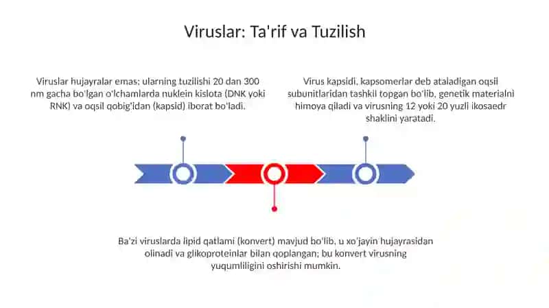 Viruslar 3