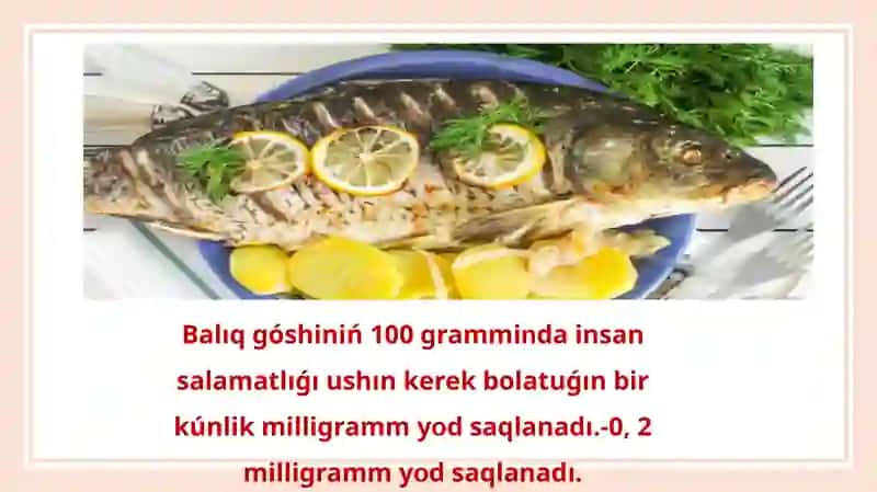 Balıqtıń insan organizimine paydası 3