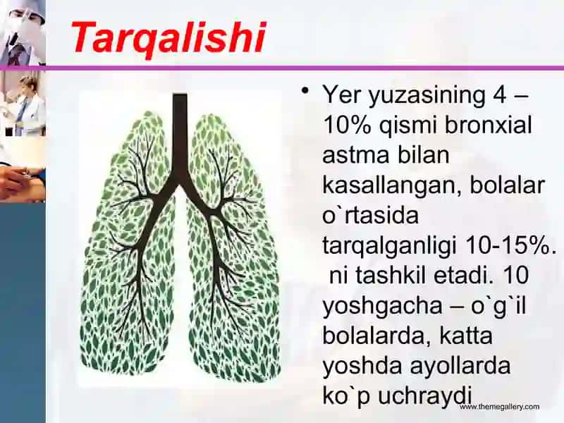 Bronxial astma 3