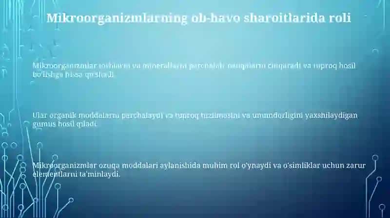 Tuproq hosil bo'lishida mikroorganizmlar ahamiyati 3