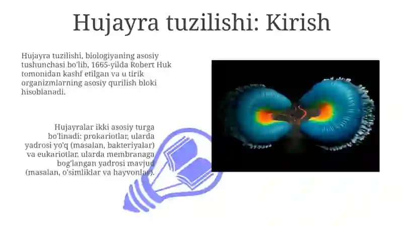 Hujayra tuzilishi 3