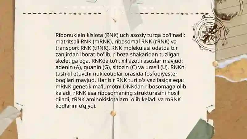 RNK 3