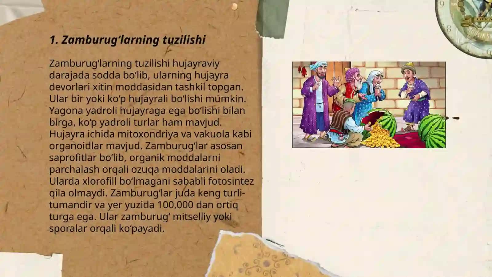 Mikologiya- Zamburugʻlar haqidagi fan 3