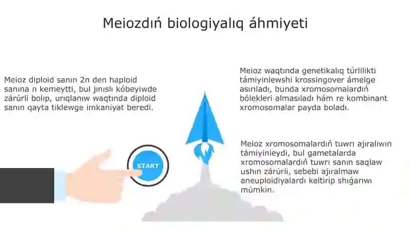 Meyozboliniwdinbiologiyaliqahimiyeti 3