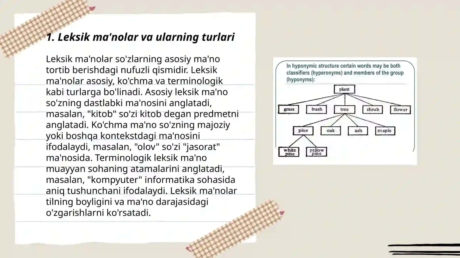 O'zbek tilida leksik- semantik munosabatlar. O’zbek tili leksikasi tasnifi 3