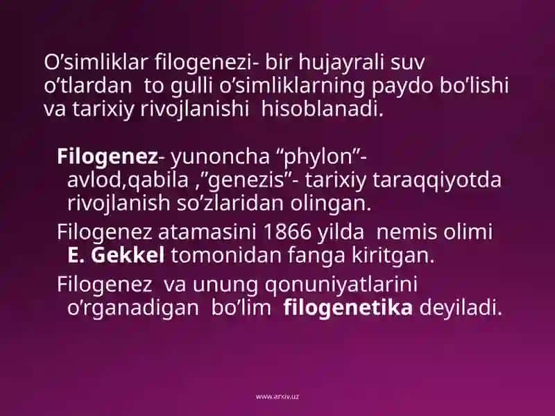 O’simliklar generativ organlari filogenezi 3