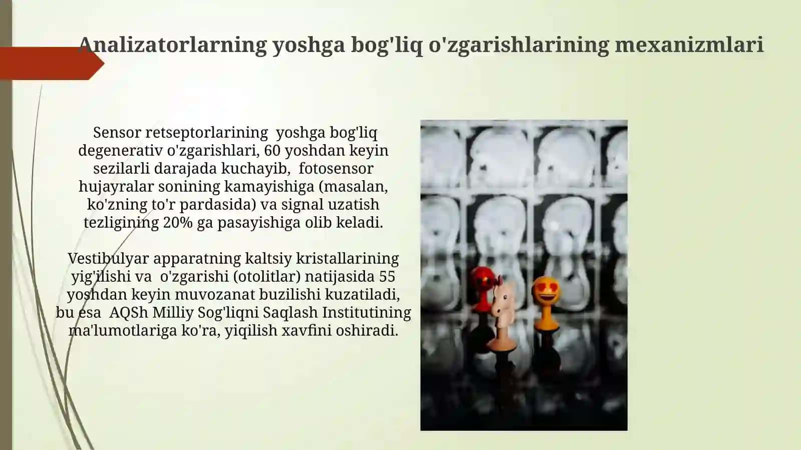 Analizatorlarning yoshga bog'liq o'zgarishlarining mexanizmlari 3