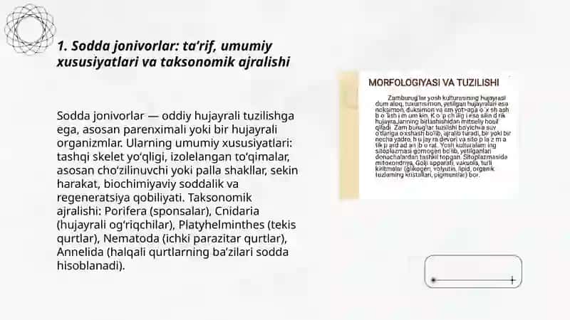 Sodda jonivorlar. Ularning morfologiyasi, strukturasi va ularni oʻrganish usullari. Musoyev Ilhomjon 3
