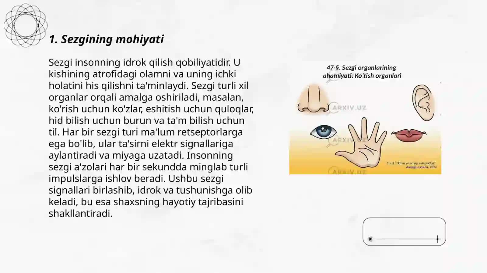 Sezgi va uning turlari 3