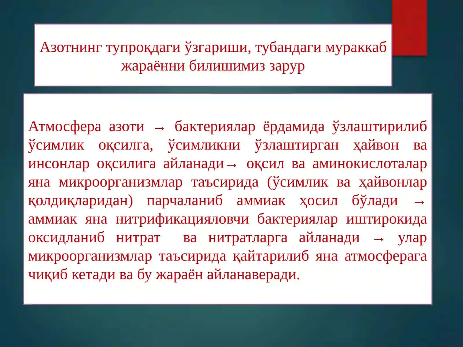 Азотни табиатда алмашинишида микроорганизмларнинг роли 3