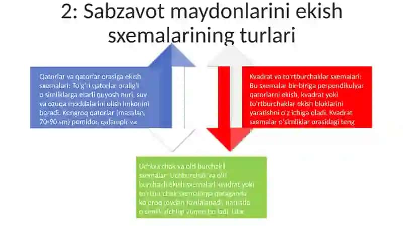 Sabzavot Ekinlarini Dalada Ekish Sxemalari 3