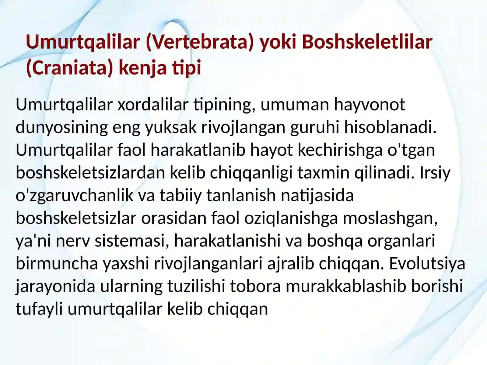 Umurtqalilar kenjatipi 3