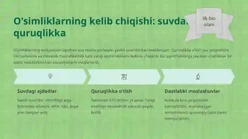 O'simliklar kelib chiqishi va o'simlik organlarining evolyutsiyasi 3
