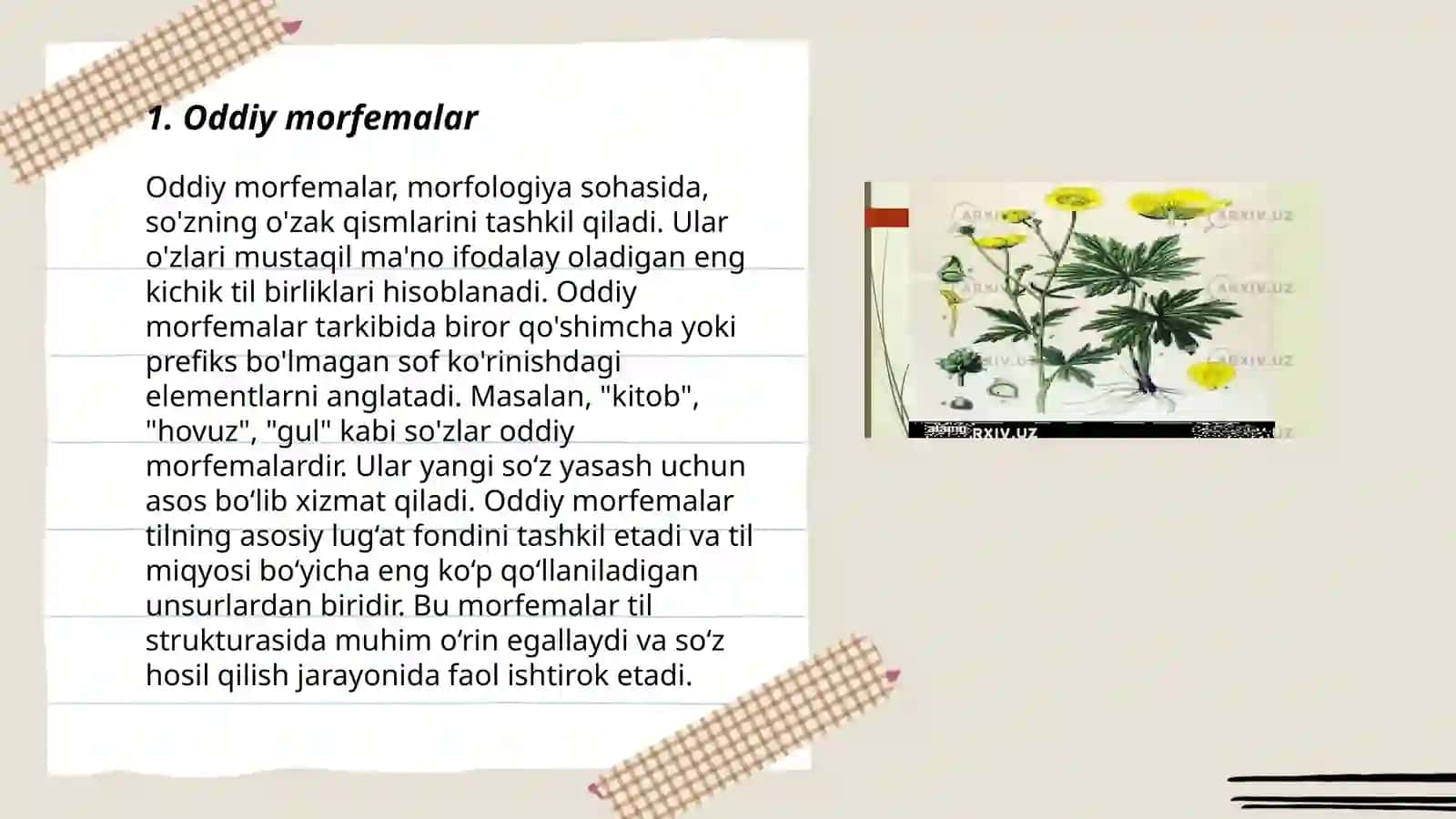 Morfemalarning tuzilishi va vazifasiga koʻra tasnifi 3