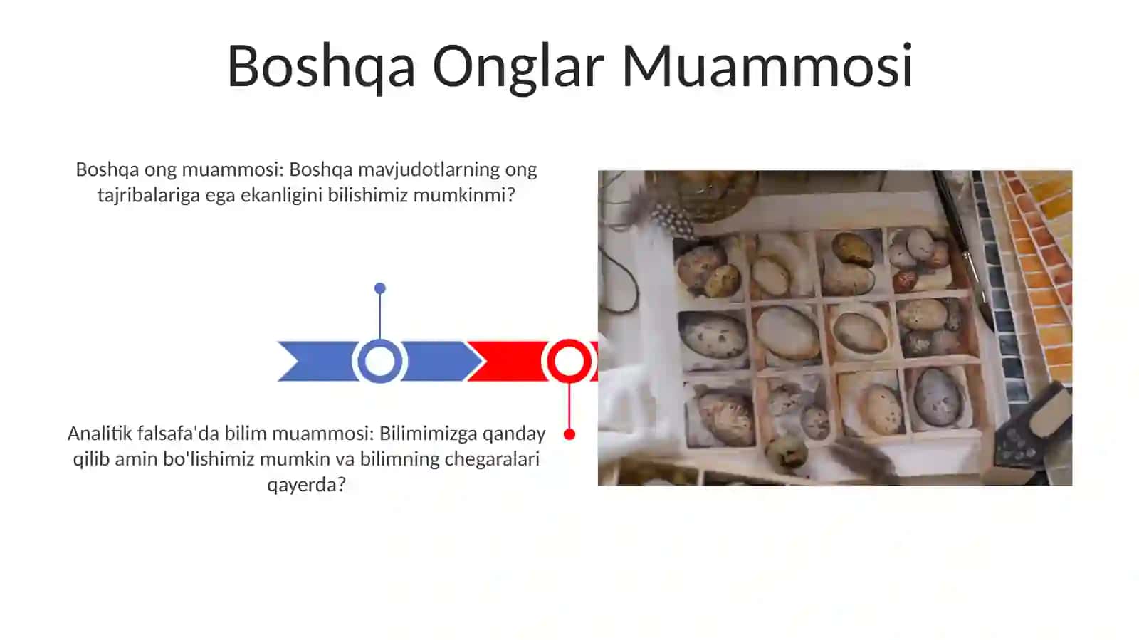 Analetik falsafada bilish muammosi 3