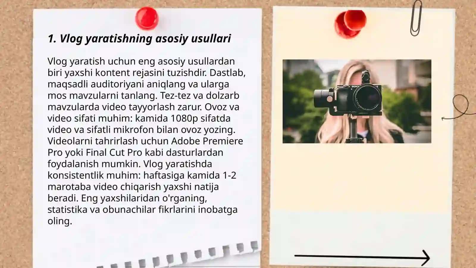Vlog haqida 3