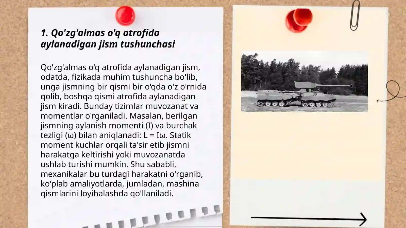 Shteyner tenglamasi 3