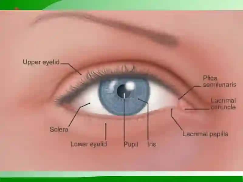 The Eye 3