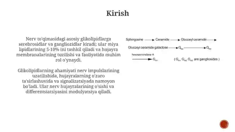 Nervto'qimasiningasosiyglikolipidlari,ahamiyati,ularbilanbog'liqkasalliklar 3