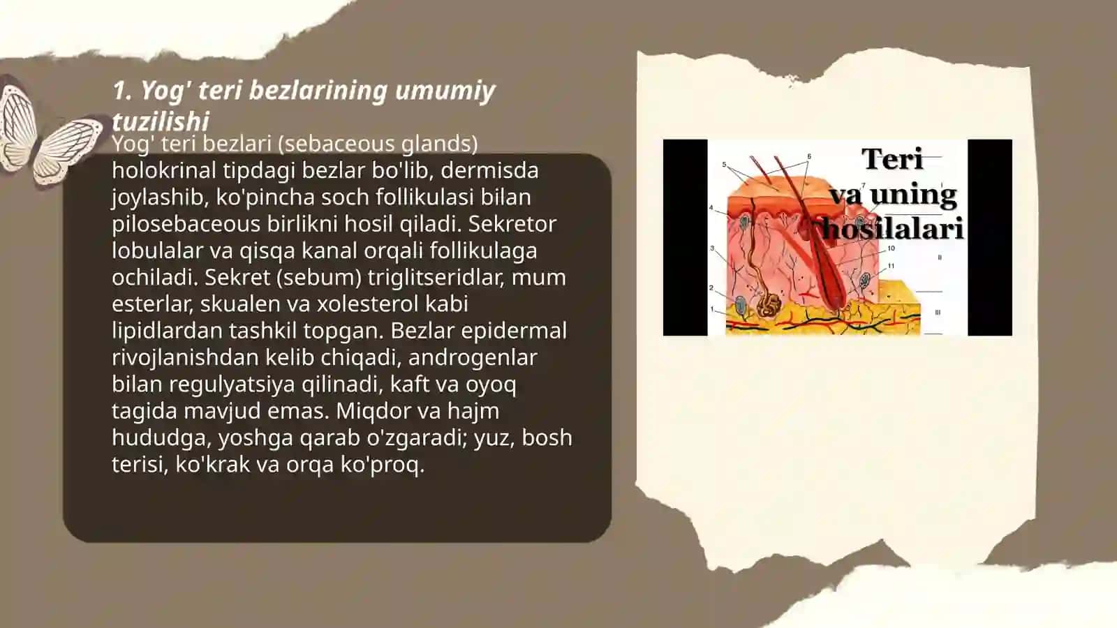 Terining bezlari 3