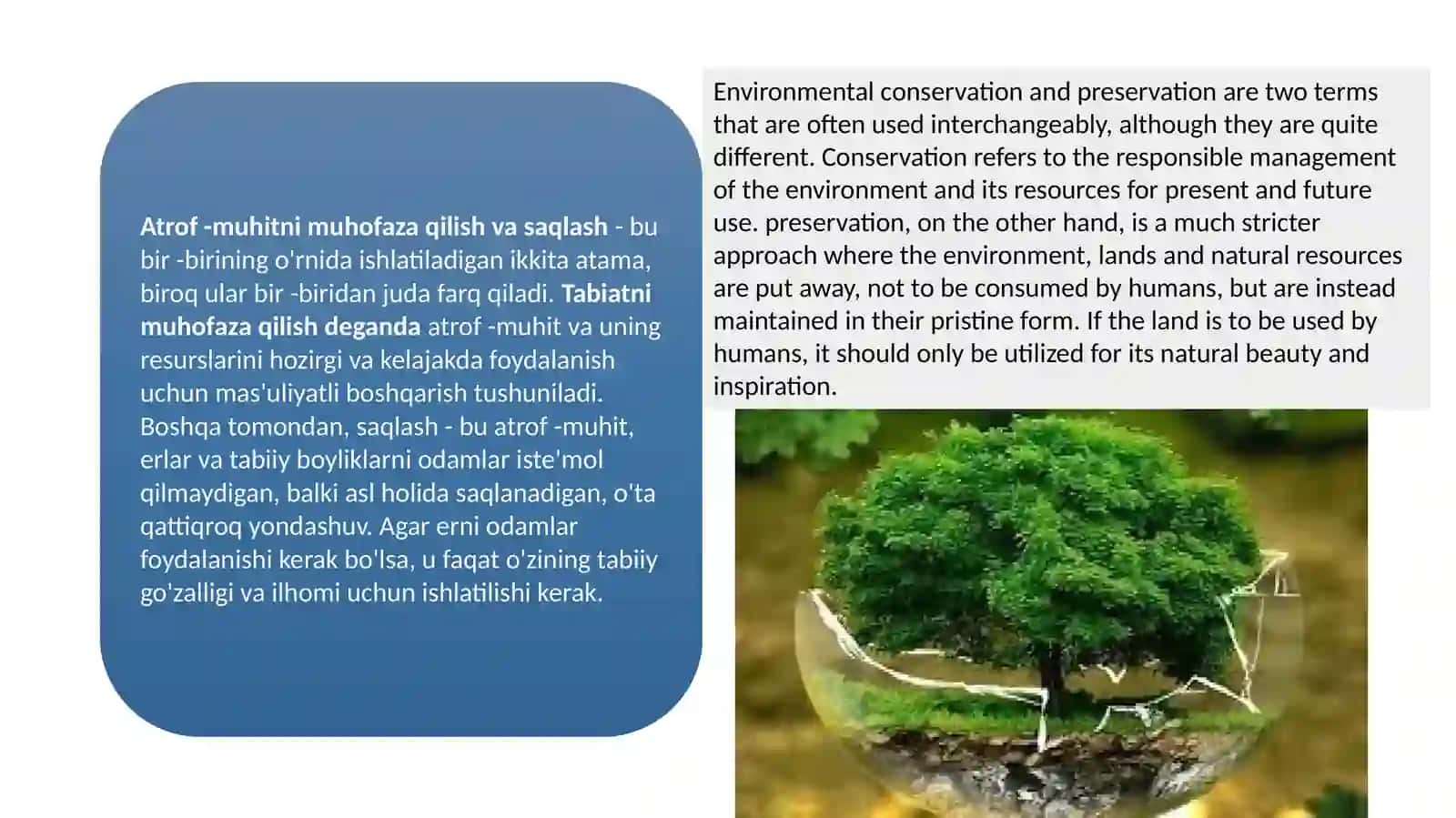 Environmental Conservation 3