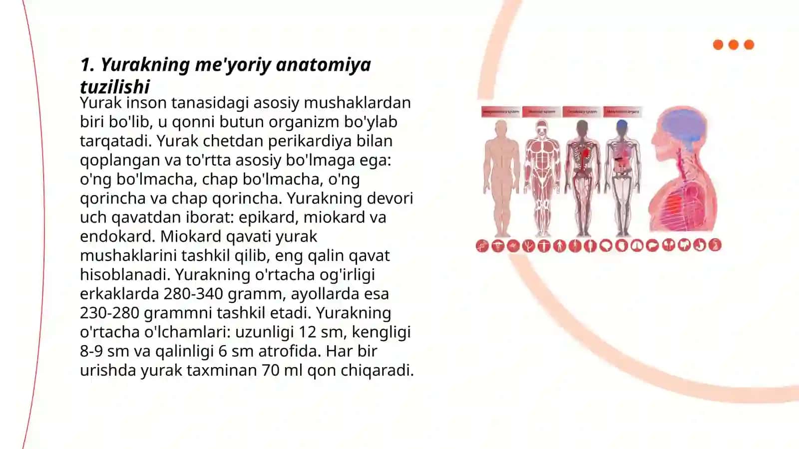 Yurak funksional va klinik anatomiyasi 3
